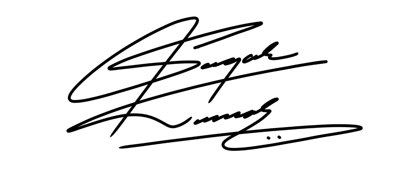 Signature Sample 10